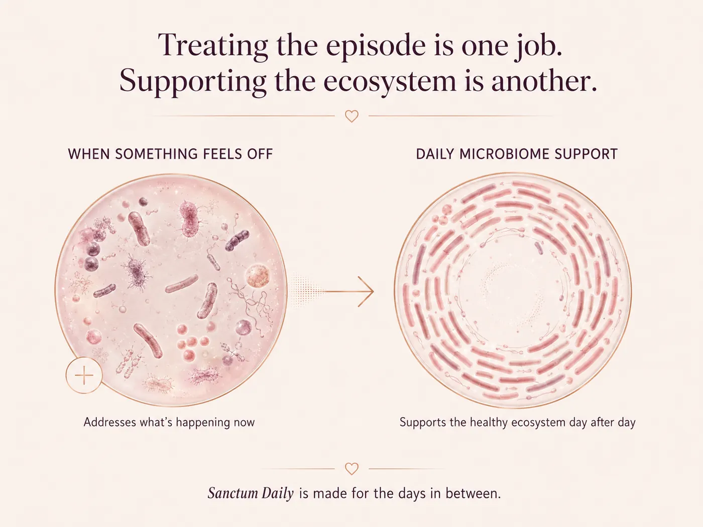 Treating the episode is one job. Supporting the ecosystem is another — Sanctum Daily is made for the days in between.